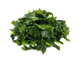 Kelp