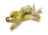 Wasabi root