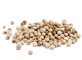 coriander